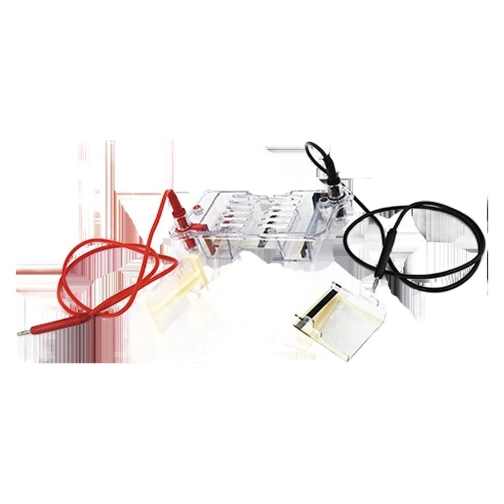 DYCP-31BN Horizontal Agarose Electrophoresis Tank