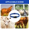 Goat Collar | Adjustable Nylon Collar with Bell and Durable Quick-Release Buckle view 4