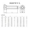 Blind-Hole Knurled Nuts, 5/10/50 pcs, DIN912, M1.4–M8, A2-70 304 Stainless Steel, Flat Head, Six-Lobe Drive (45 mm, M2, 50 pcs) view 2