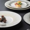 Round Ceramic Dinner Plate, Pasta and Sushi Serving Plate (B) view 3