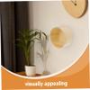 Wall-Mounted Acrylic Display Case for Figures and Models view 3