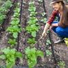 15 m Expandable Double-Layer Garden Hose for Drip Irrigation view 3