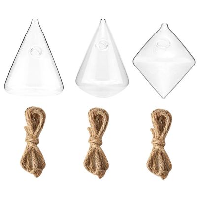 Transparent Geometric Glass Vase for Hydroponic Plants