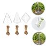Transparent Geometric Glass Vase for Hydroponic Plants view 4
