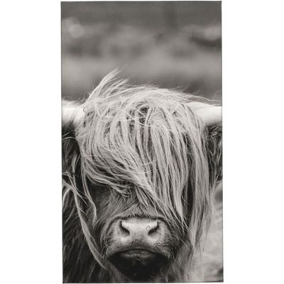 40 x 70 cm Scottish Highland Cow Print Quick-Drying Towel