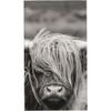 40 x 70 cm Scottish Highland Cow Print Quick-Drying Towel view 1