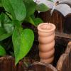 Slow-Release Watering Spikes for Outdoor Plants view 2