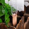 Plant Watering Spikes, 4-Piece Set, Terracotta Drip Irrigation view 3