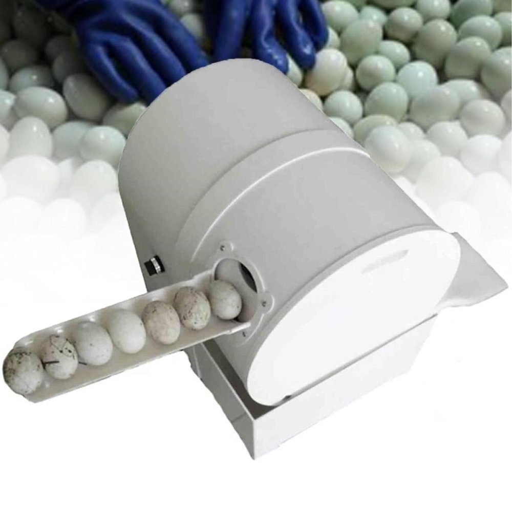 Poultry Egg Washer and Cleaner, Small Automatic Egg Washing Machine, 2,300 pcs/h