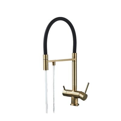 Gold Dual-Spout Kitchen Water Filter Faucet