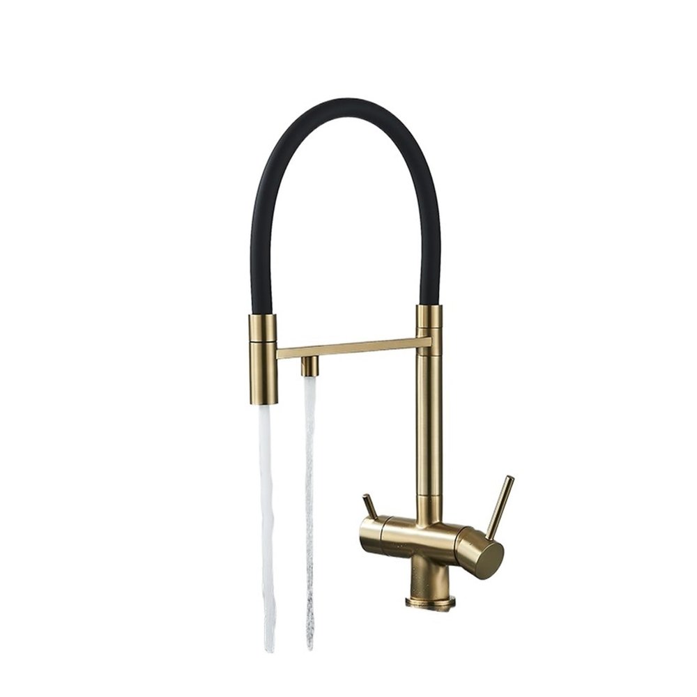 Gold Dual-Spout Kitchen Water Filter Faucet
