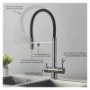 Gold Dual-Spout Kitchen Water Filter Faucet view 3