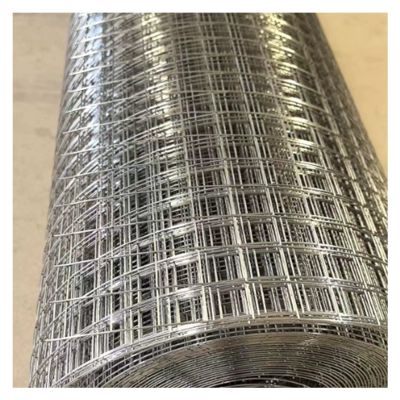 DTVEW Stainless Steel Wire Mesh, Rodent Mesh Fence for Raised Garden Beds, 10 mm/0.6 mm Poultry, Railing and Safety Fence (0.9 x 15 m)