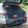 SUV Tailgate Trunk Insect Screen view 2