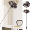 Telescopic Duster, Washable Cleaning Tool with Long view 2