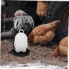 Abaodam Automatic Plastic Chicken Waterer, Easy Refill, for Home Use in Chicken Coops view 2