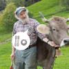Dehorning Wire Saw for Sheep and Cattle view 2