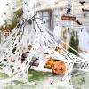 Halloween Spider Web Decoration Set view 1