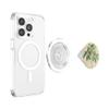 Vintage-Style Scientific Plant Illustration Money Tree PopSockets PopGrip for MagSafe view 3