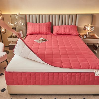 Gray Zippered Mattress Protector, 5-Sided Quilted Cover, Removable Fitted Sheet (170 x 200 + 20 cm, E)