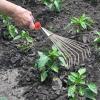 Hand Rake, Manual Non-Slip Grass Remover view 2