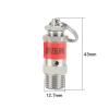 IDGTTLDF 1/8-Inch BSPT Male-Thread 304 Stainless Steel Pressure Valve, Spring-Type Outlet Valve, 5 bar (0.5 MPa) view 3