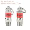 IDGTTLDF 1/8-Inch BSPT Male-Thread 304 Stainless Steel Pressure Valve, Spring-Type Outlet Valve, 5 bar (0.5 MPa) view 4