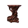 NexaGeniX Bonsai Display Stand, Imitation Root Carving view 1