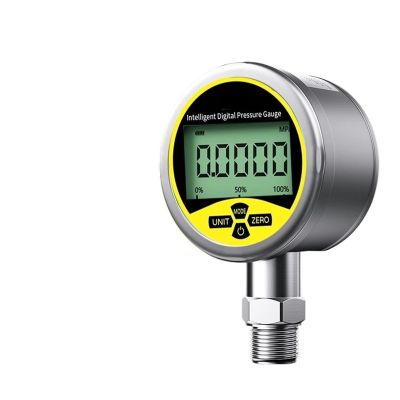 Ultrasonic Transducer / Digital Pressure Gauge, -0.1–60 MPa, 80 mm, M20 × 1.5, SS304