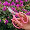 Stainless Steel Scissors for Hair, Sewing, Crafts and Gardening view 4