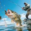 Bass Fly Fishing Lures for Freshwater and Saltwater, Trout and Perch view 2