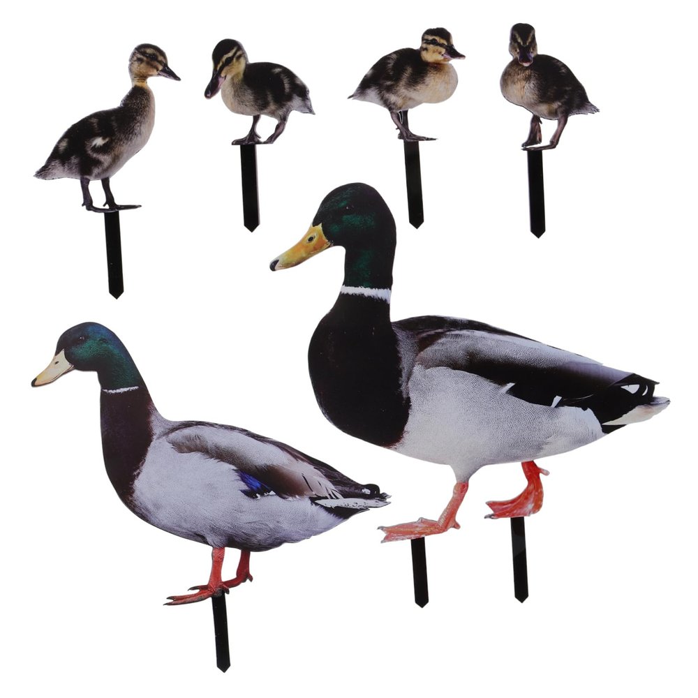 Toddmomy Acrylic Garden Stake, Realistic Nature Design for Outdoor Areas