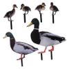 Toddmomy Acrylic Garden Stake, Realistic Nature Design for Outdoor Areas view 1