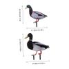 Toddmomy Acrylic Garden Stake, Realistic Nature Design for Outdoor Areas view 2