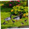 Toddmomy Acrylic Garden Stake, Realistic Nature Design for Outdoor Areas view 3