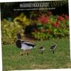 Toddmomy Acrylic Garden Stake, Realistic Nature Design for Outdoor Areas view 4