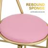DIYEAH Pink Metal Makeup Stool with Backrest for the Bedroom view 3