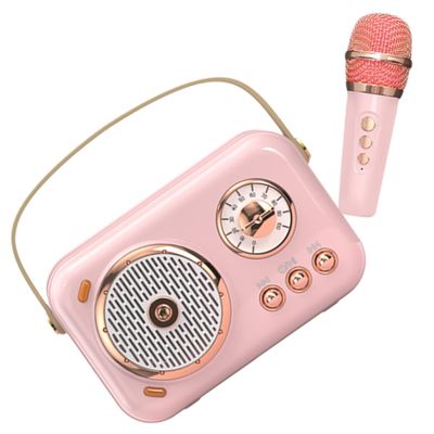 Pink Portable 10 W Wireless Mini Speaker, 1 Set