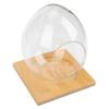 Egg-Shaped Terrarium, 1 Set, Glass and Wood view 1