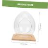 Egg-Shaped Terrarium, 1 Set, Glass and Wood view 2