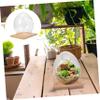 Egg-Shaped Terrarium, 1 Set, Glass and Wood view 4