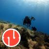 JOINPAYA Lightweight, Highly Visible ABS Cave Diving Line Marker view 2
