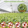 Durable Garden Bird Netting, Hail and Pigeon Protection Nylon Net for Plants, Fruit and Ponds, Balcony Safety Net (2 x 50 m) view 3