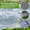 Durable Garden Bird Netting, Hail and Pigeon Protection Nylon Net for Plants, Fruit and Ponds, Balcony Safety Net (2 x 50 m) view 4