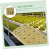 Toddmomy 16-Piece Rockwool Starter Cubes for Hydroponic Growing, Transplanting and Cloning view 2