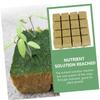 Toddmomy 16-Piece Rockwool Starter Cubes for Hydroponic Growing, Transplanting and Cloning view 4