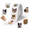 Mimoqk Cat Meme Stickers, 500 Pack view 1