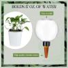 Watering Globes for Houseplants, 500 ml, Automatic Watering view 3