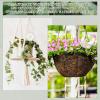 Watering Globes for Houseplants, 500 ml, Automatic Watering view 4