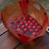 Foldable Camping Bowl, Portable Camping Dish view 3